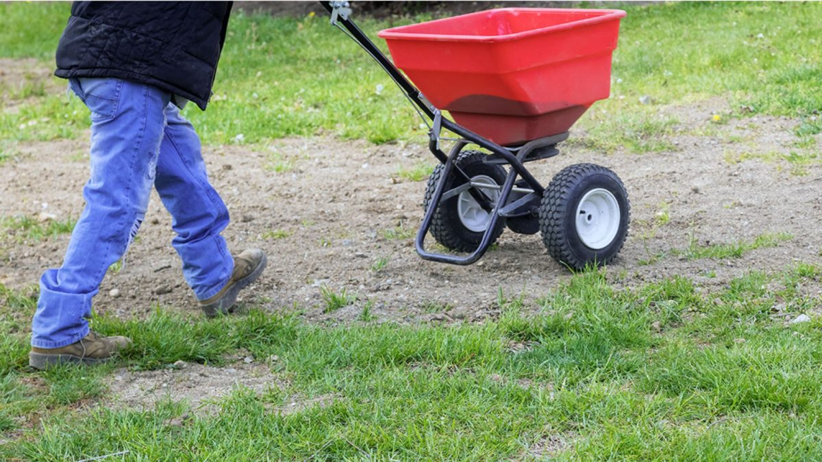 Tips And Tricks For Maximizing Your Lawn Overseeder